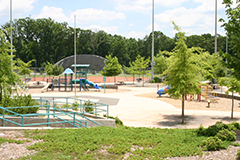 Pinckneyville Park